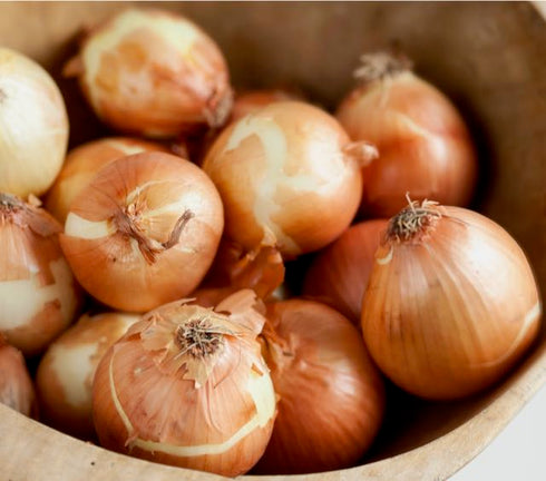 Newberg Onion